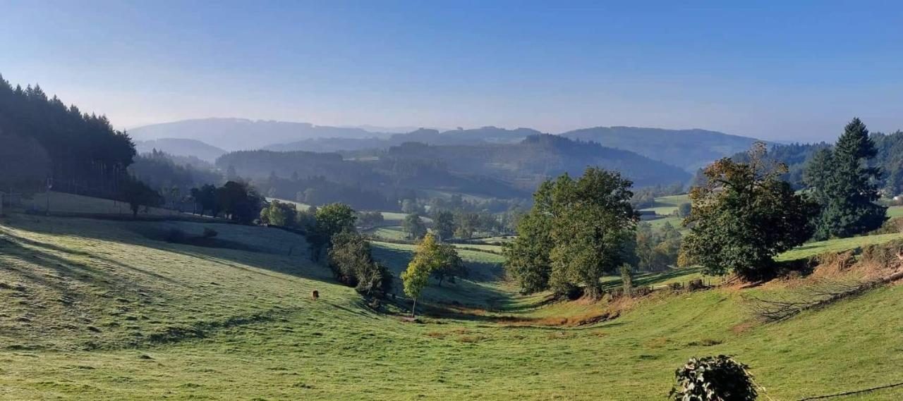 La Mazille , Cossy Vakantiestudio Met Zwembad In Zuid-Bourgogne Anglure-sous-Dun エクステリア 写真