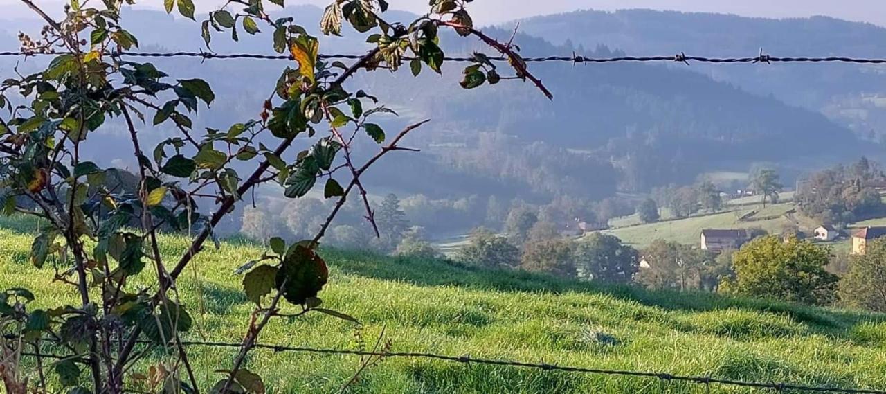 La Mazille , Cossy Vakantiestudio Met Zwembad In Zuid-Bourgogne Anglure-sous-Dun エクステリア 写真